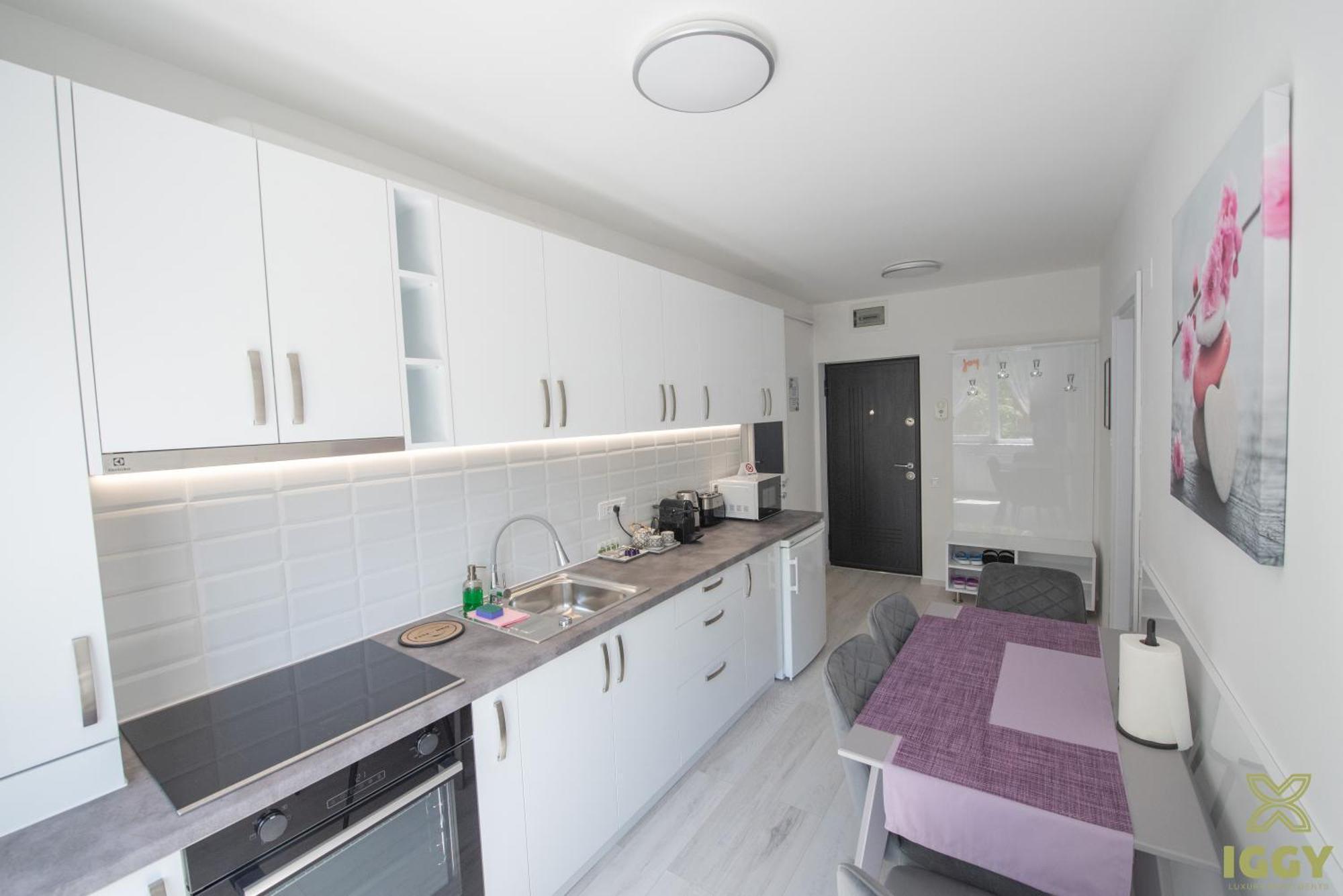 Iggy Premium Apartment Хунедоара Экстерьер фото